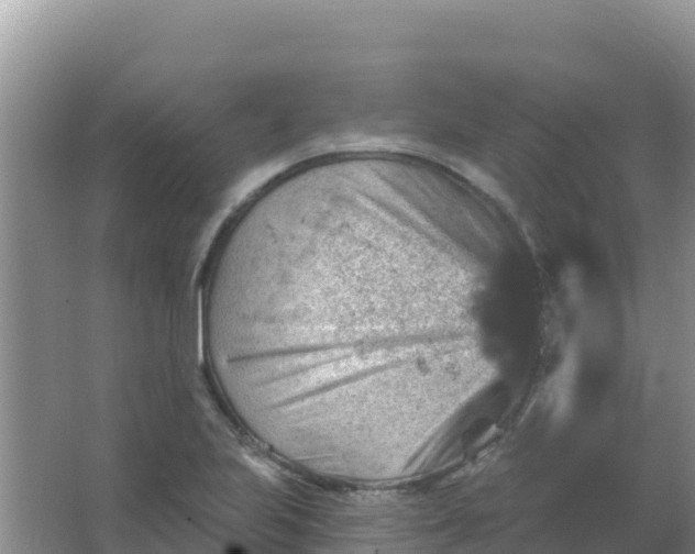 X0000066951223200604071930