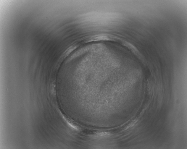 X0000066951225200604071930