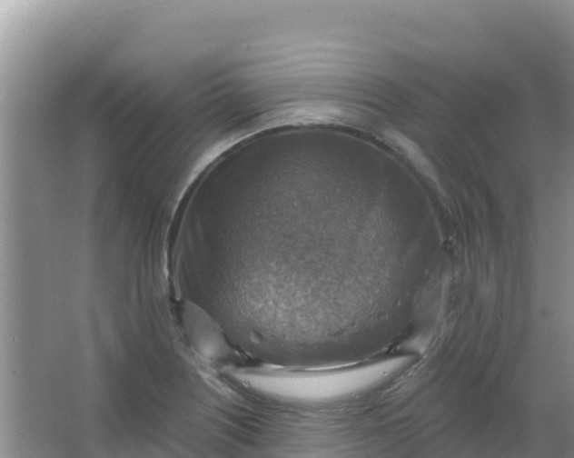 X0000066951226200604071930