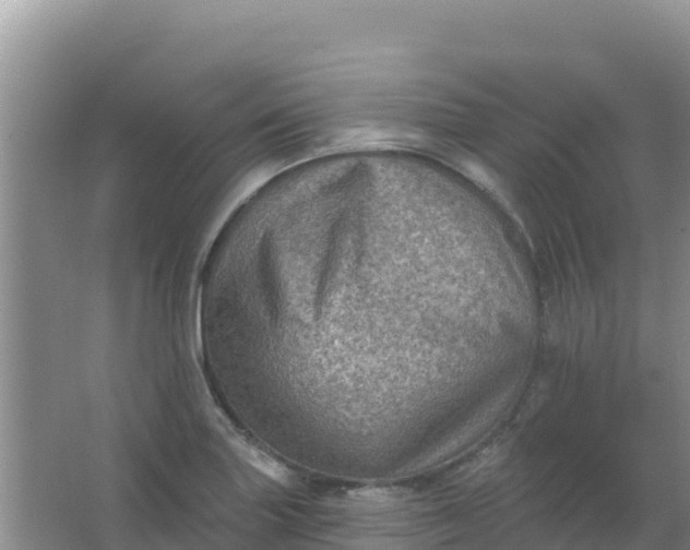 X0000066951227200604071930