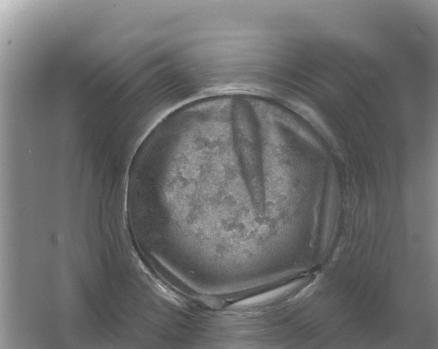 X0000066951228200604071930