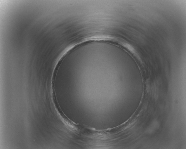 X0000066951229200604071930