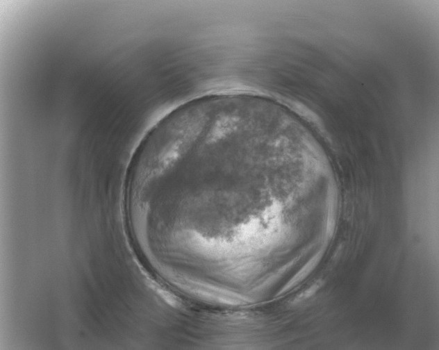 X0000066951231200604071930