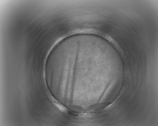 X0000066951232200604071930