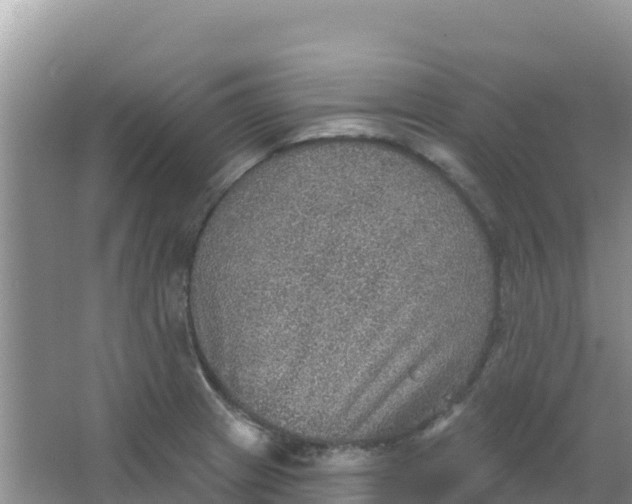 X0000066951233200604071930