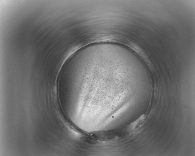 X0000066951234200604071930