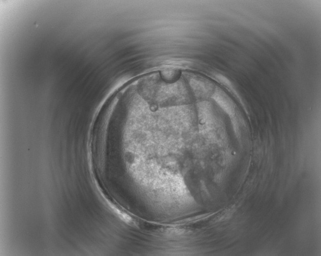 X0000066951235200604071930