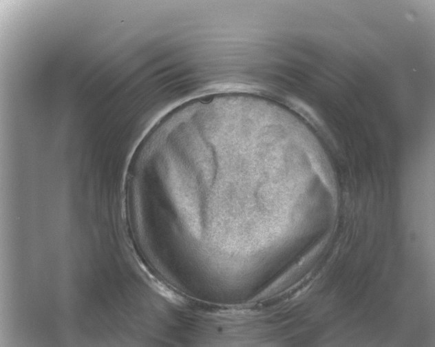 X0000066951236200604071930