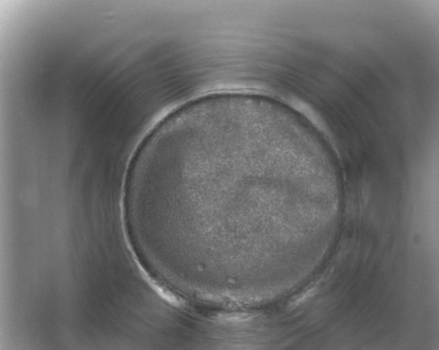 X0000066951237200604071930