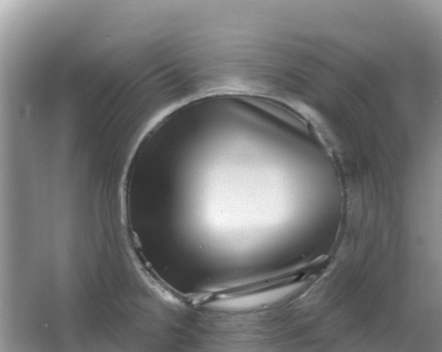 X0000066951238200604071930