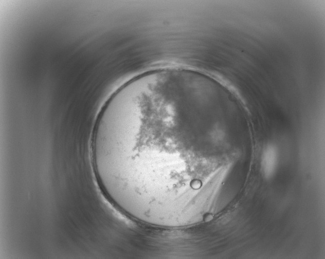 X0000066951239200604071930