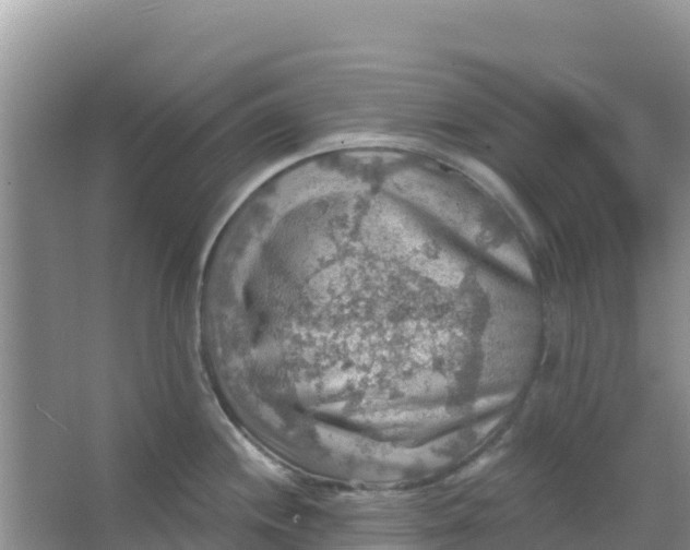 X0000066951244200604071930