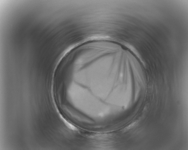 X0000066951245200604071930