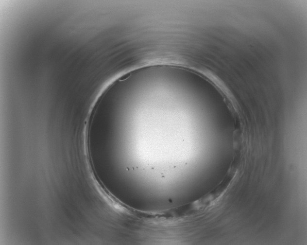 X0000066951246200604071930