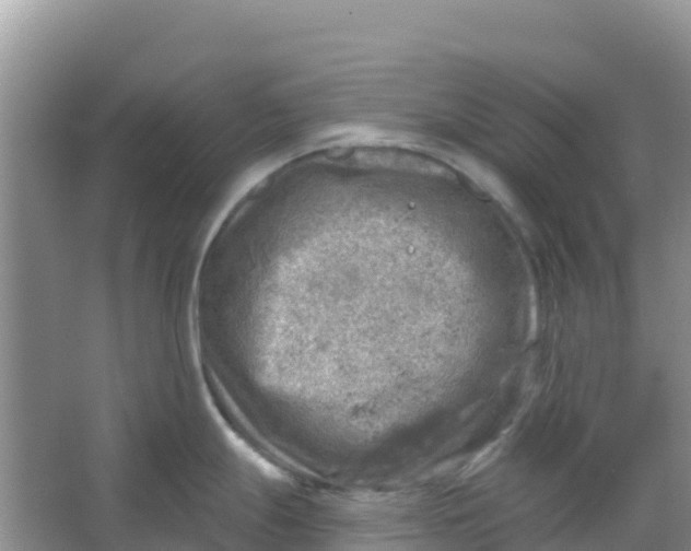 X0000066951247200604071930