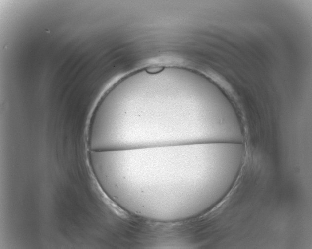 X0000066951248200604071930