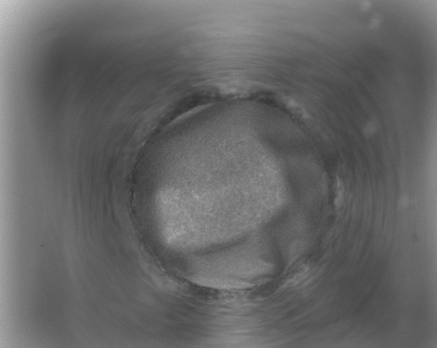 X0000066951249200604071929