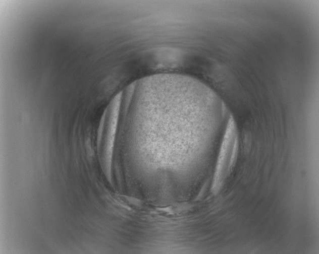 X0000066951250200604071929