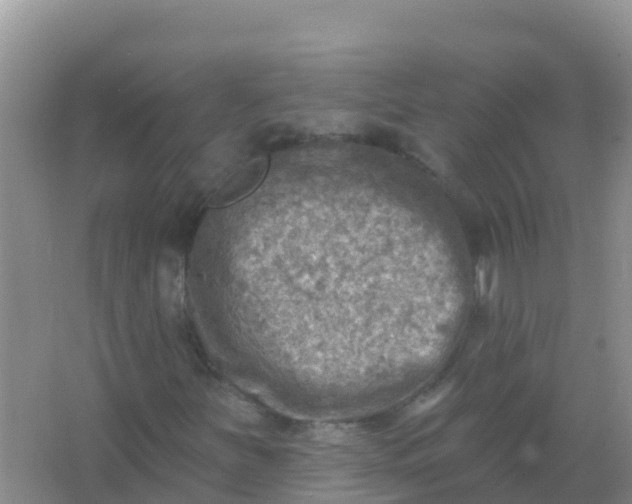 X0000066951251200604071929