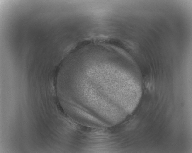 X0000066951252200604071929