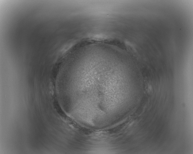 X0000066951253200604071929