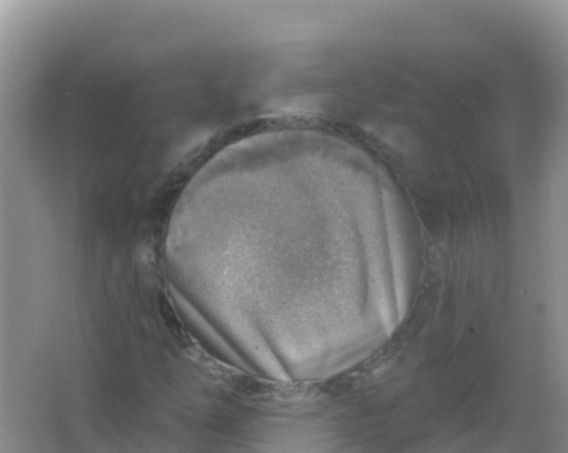 X0000066951254200604071929