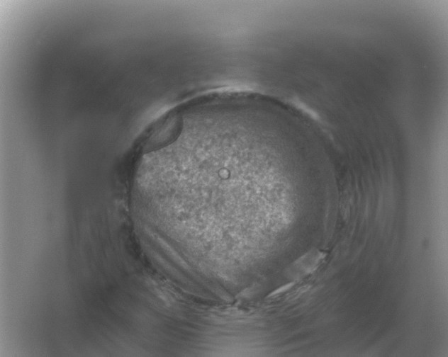 X0000066951255200604071929