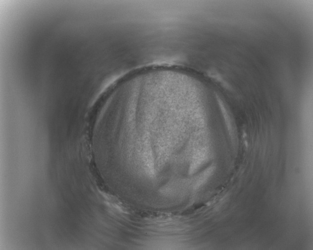 X0000066951256200604071929