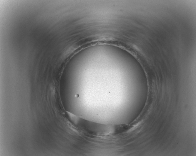 X0000066951257200604071929