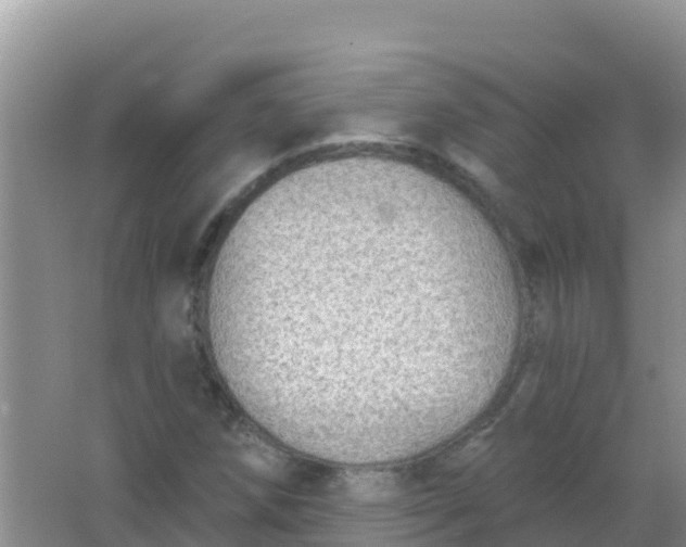 X0000066951258200604071929