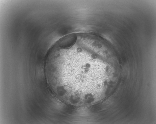 X0000066951259200604071929