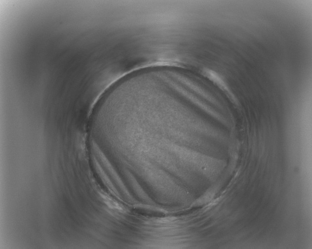 X0000066951260200604071929