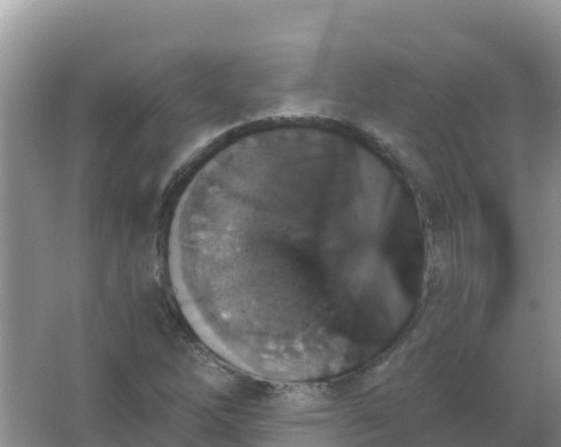 X0000066951262200604071929