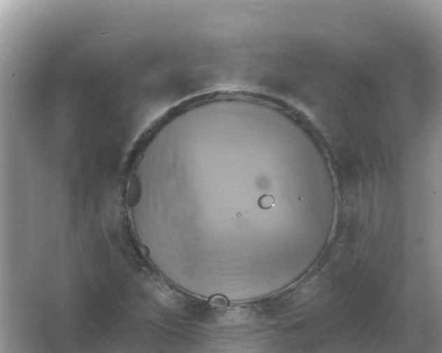 X0000066951263200604071929