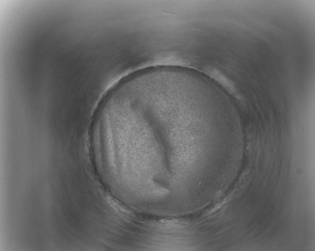 X0000066951264200604071929