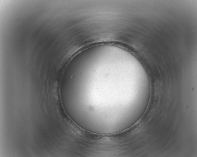 X0000066951265200604071929