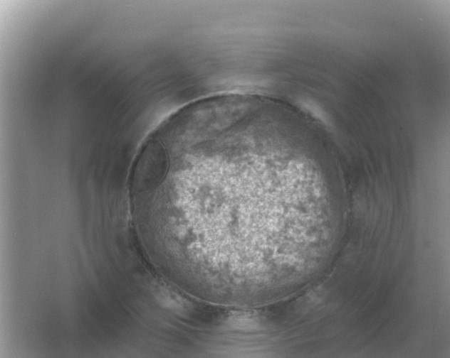 X0000066951267200604071929