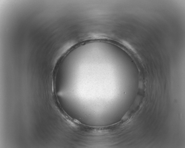 X0000066951269200604071929