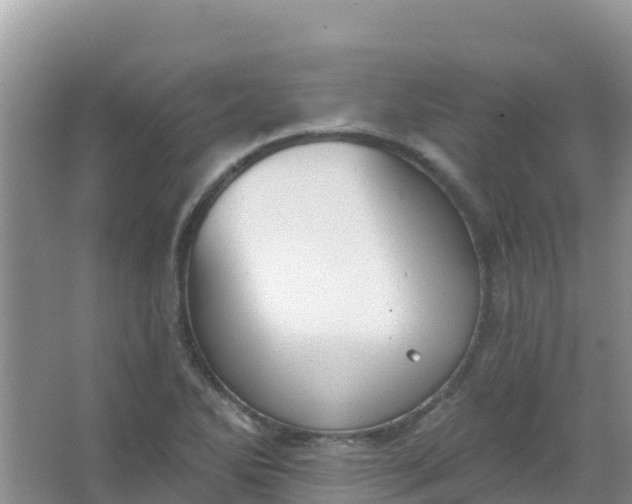 X0000066951270200604071929