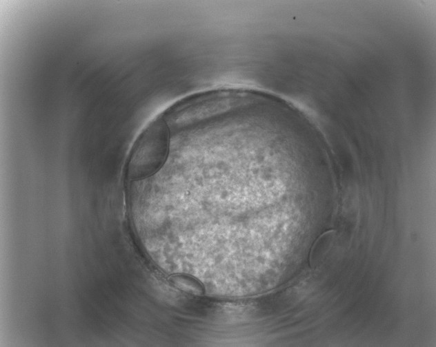 X0000066951271200604071929