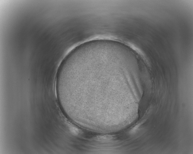 X0000066951272200604071929