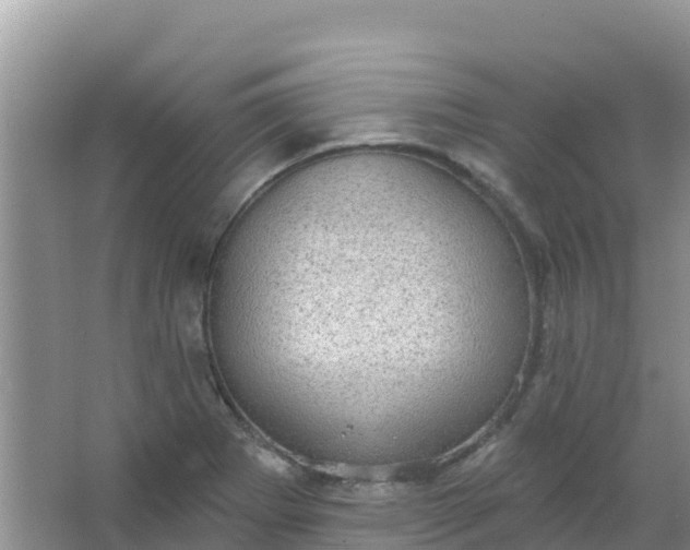 X0000066951273200604071929