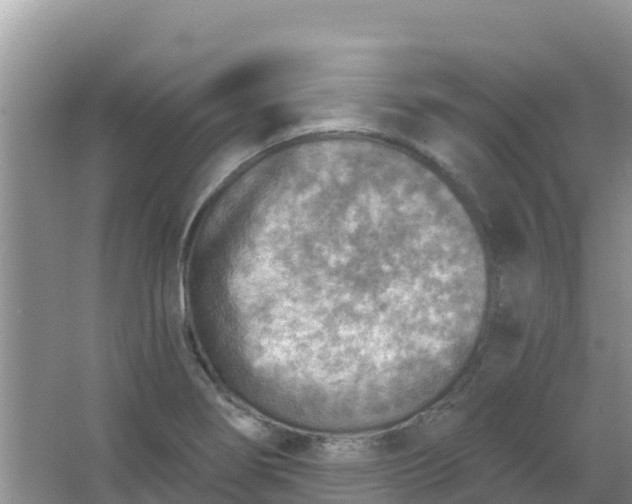 X0000066951274200604071929