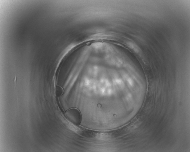 X0000066951275200604071929