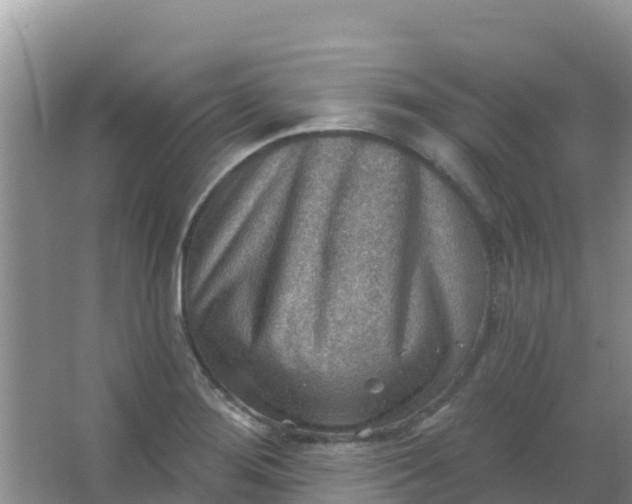 X0000066951276200604071929