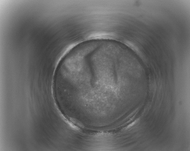 X0000066951277200604071929