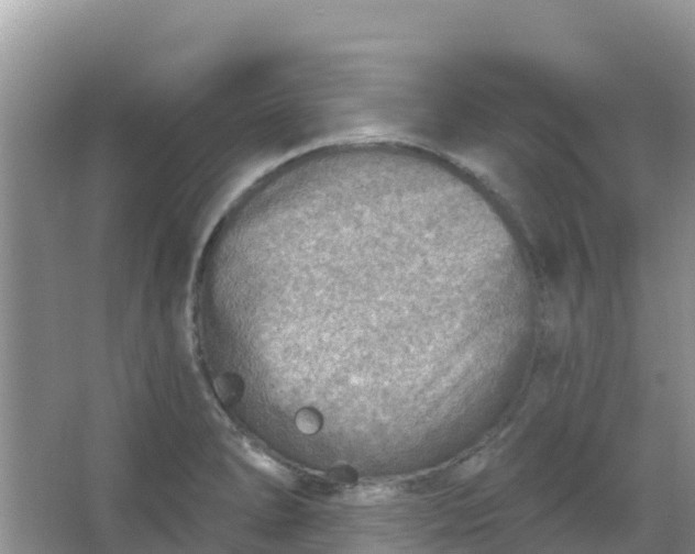 X0000066951278200604071929