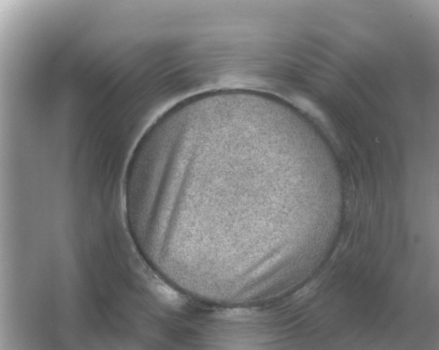 X0000066951280200604071929