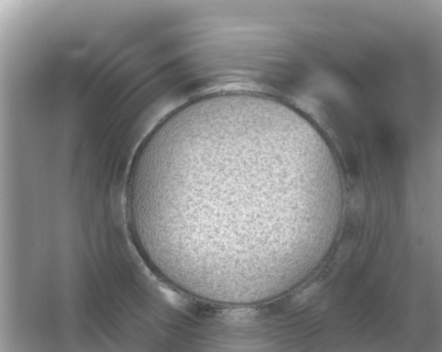 X0000066951282200604071929