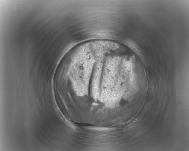 X0000066951283200604071929